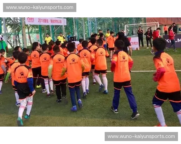 绿茵纵横，北境之王：泰达与鲁能的宿命纠葛与豪门尊严